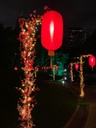 Hanging Deco Stand [1000mm (Bend Length) x 3500mm (H)]