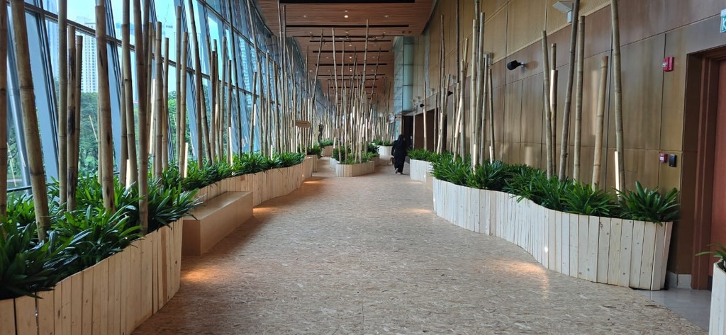 Bamboo c/w Base (3 Variants)