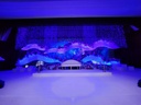 Wedding Dais / Pelamin