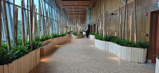 Bamboo c/w Base (3 Variants)