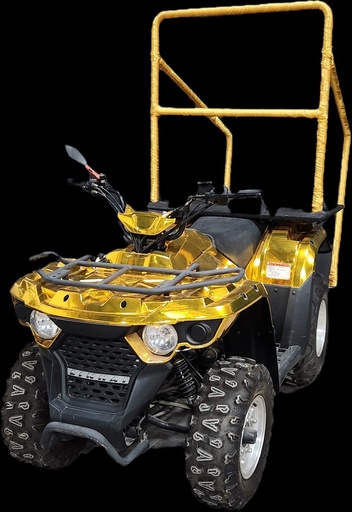 [1203271629E] All-Terrain Vehicle (ATV)